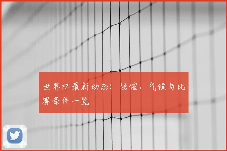 世界杯最新动态：场馆、气候与比赛条件一览